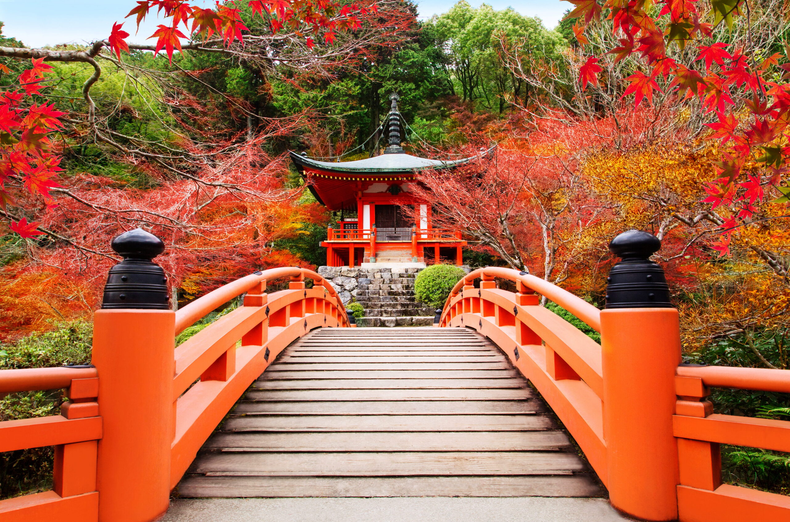 Discovering Japan